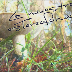 La Muestra Estereofonica