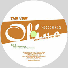 Sound Navigators - The Vibe (Andrew Phelan & Origami Mix) - Olive Records