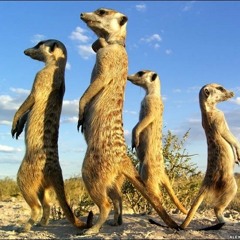 BASS WEAZAL PRESENTS - THE DIRTYSMART MASHUP MIXTAPE