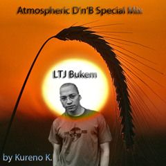 Atmospheric D'n'B Special "LTJ Bukem" by DenDen