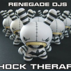 Renegade DJs - Shock Therapy