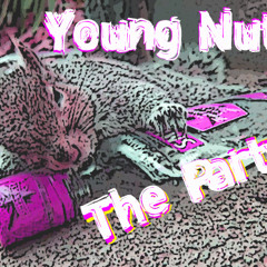 Young Nutz - The Party