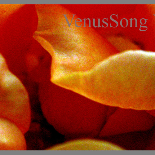 VENUS SONG No VI (live)