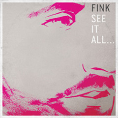 Fink - See It All (Radio Edit)