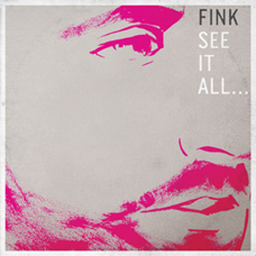 Fink - See It All (Emika Remix)