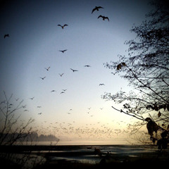 Sublime Porte - Sava - Ohrwert Version