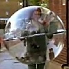 Heiress-Strutter Bubble