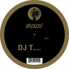 Dj T - Shine On (Motor City Drum Ensemble Warehouse Rmx)