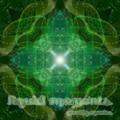 Liquid Moments - mixed by Aquarius