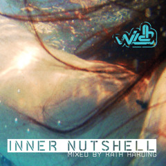 'Inner Nutshell'- mixed KathHarding