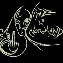 BlackBass live - VINZZ LE NORMAND (blackbass sound system )