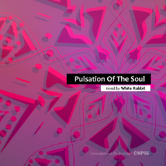 CAP07: Dj White Rabbit — Pulsation Of The Soul