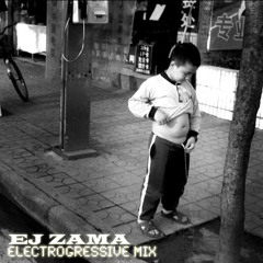 DJ ZAMA NGO - ELECTROGRESSIVE MIX