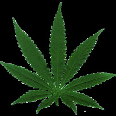 Dubwise and otherwise