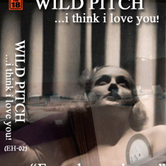 Erwachsenenhouse Mix 2 - Wild Pitch!...i think i love you!