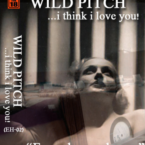 Erwachsenenhouse Mix 2 - Wild Pitch!...i think i love you!