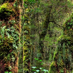 "Recalibration" (progressive trance/psytrance dj-set)