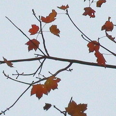 Autumn09djPromoMix