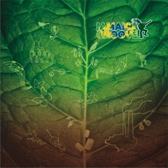 (Mãe Terra) Jamaica Groove - Ironia Do Destino