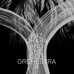raz ohara and the odd orchestra - varsha