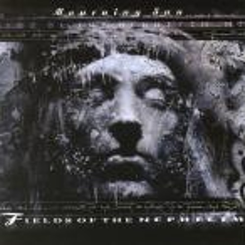 Fields of the Nephilim