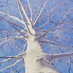 Ri Caragol Live Pa@Supreme Trading Brooklyn 6-26-08