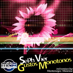 Seph Vier - Gustos Monotonos (Montenegro Remix)