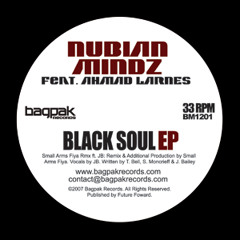 Nubian Mindz feat Ahmad Larnes - Shades of Grey