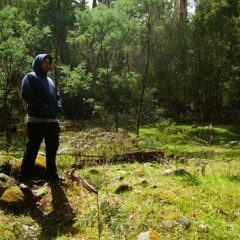 BL4XT3R - Methicondone