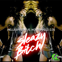 Melleefresh vs HouseAmigo DJs / Sleazy Bitch (Original Mix)