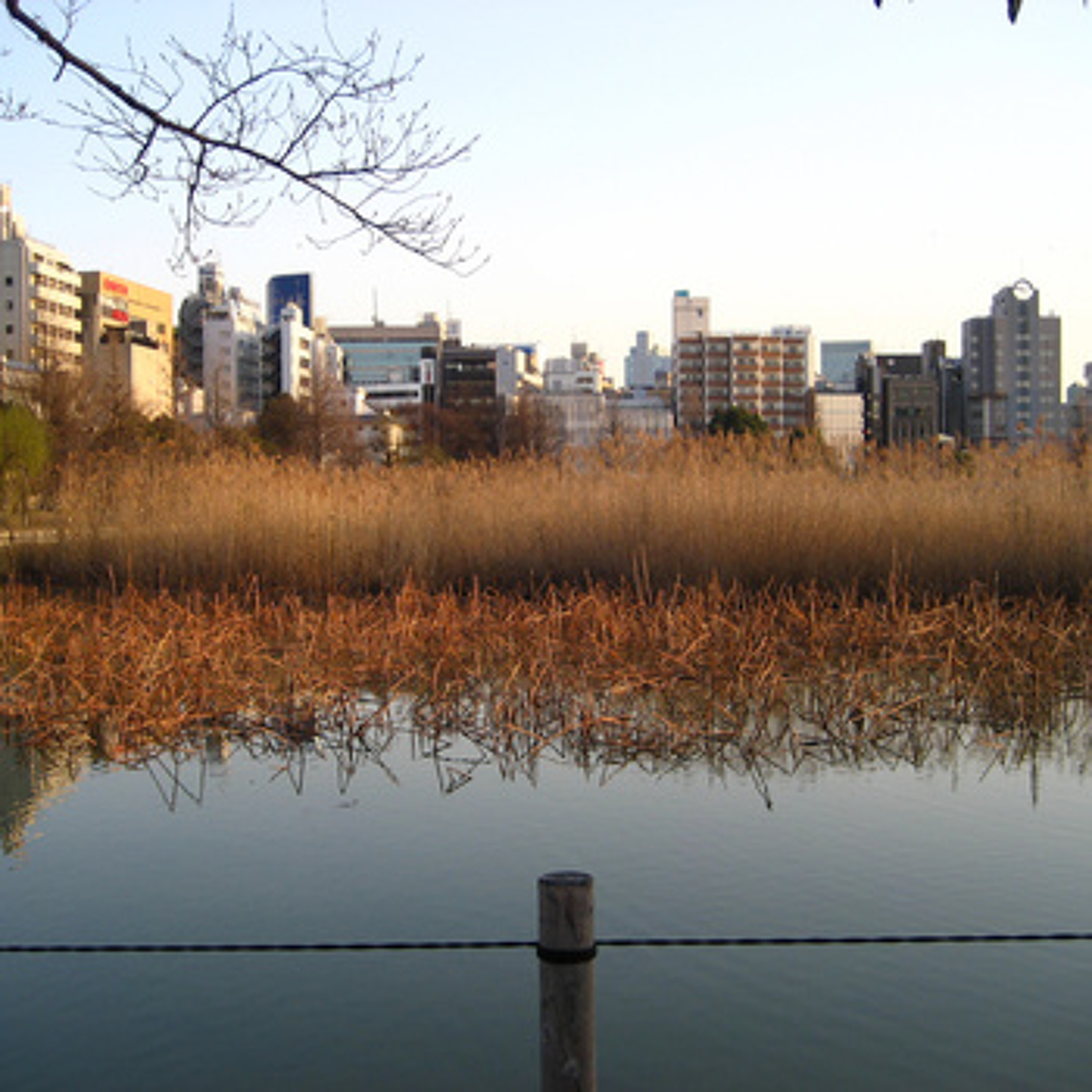 Ueno