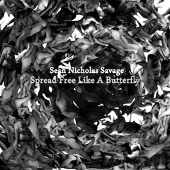 Sean Nicholas Savage - Dreamers Die Hard