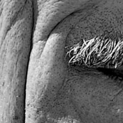 Slope "Citysteps" YL Remix