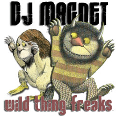 DJ Magnet-Wild Thing Freaks