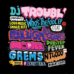 DJ Troubl & Foreign Beggars - Who's The Fool (Ft. Moona)