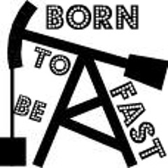 BORN TO BE FAST       from the album    NINJA REPELLANT