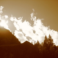 Blue Koi Collective »» wld