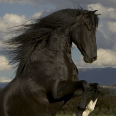 Supercaballo