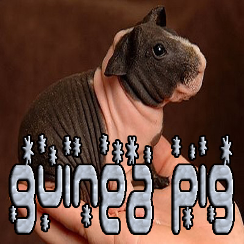 nik beats - guinea pig (her favorite toy) dirty minimal tech