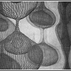 andrey g - paper clips