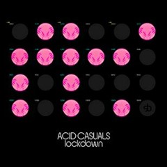 acid casuals - lockdown - dub mix