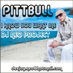 Pitbull - I Know You Want Me  ( DJ Neo Project Remix )