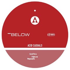 acid casuals - y nyth