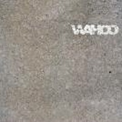 Wahoo 'Make Em Shake it (Geoff M's Cool It On The Dancefloor Edit)'