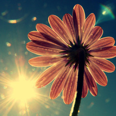 When Sunshine Sparkles