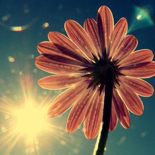 When Sunshine Sparkles