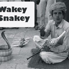 Wakey Snakey