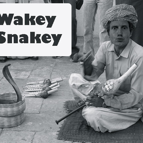 Wakey Snakey