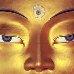 Les Siestes @ La Piscine (Lounge) - 2009  *Free_Download*