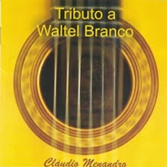 Moda de Viola (Waltel Branco) Cláudio Menandro